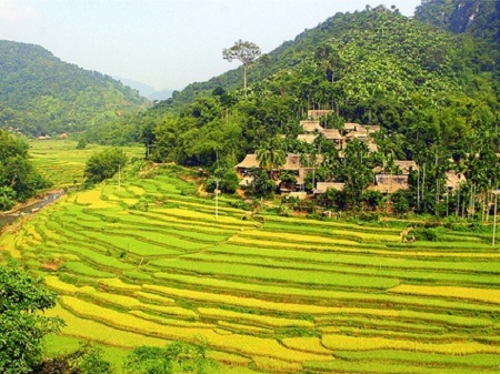 Daily tour – Mai Chau and overnight at homestay