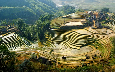 Coc Ly market and Chay River one day tour