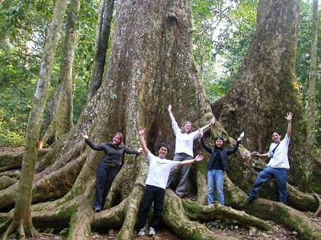 Daily tour – Cuc Phuong National Park