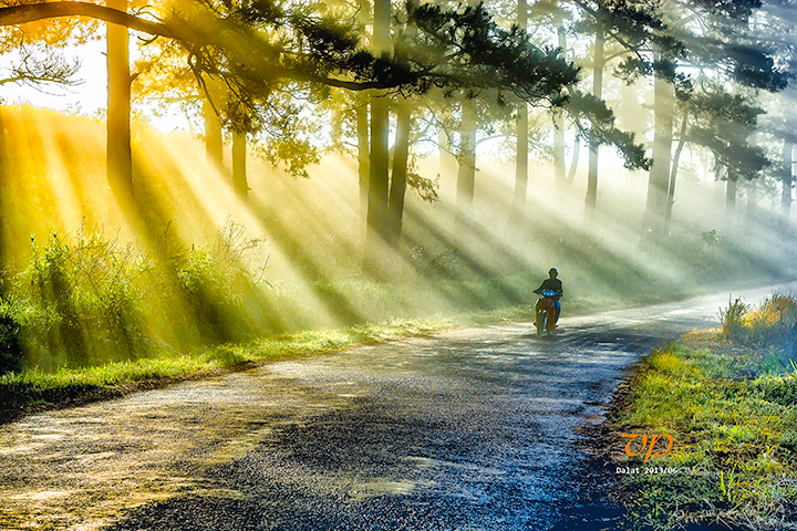 Trekking Tour in Langbiang mountain – Dalat