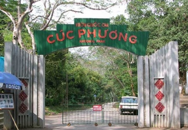 cuc-phuong