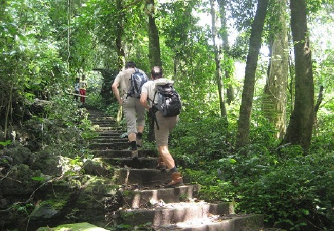 cuc-phuong-national-park1