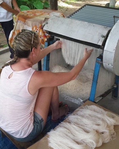 mekong-delta-tour-daily-travel-vietnam