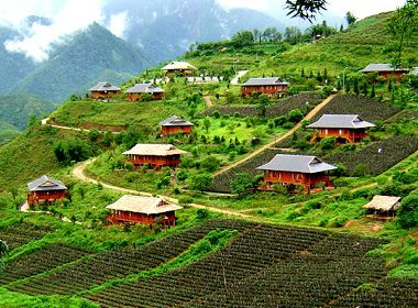 Sapa