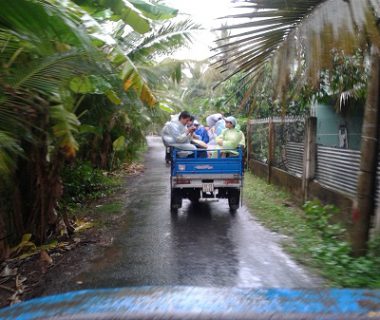 Mekong Delta 1 day tour My Tho – Ben Tre