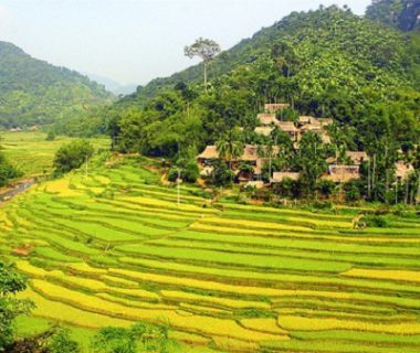 Daily tour – Mai Chau and overnight at homestay