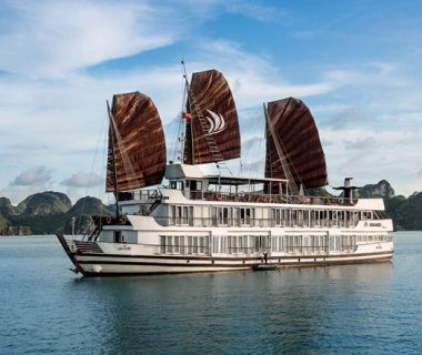 Pelican Cruise 3 days tour