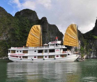 Calypso Cruiser 3 days tour
