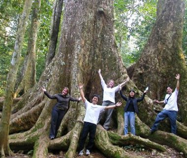 Daily tour – Cuc Phuong National Park