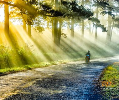 Trekking Tour in Langbiang mountain – Dalat