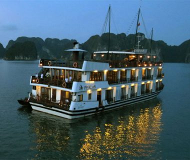 Pelican Cruise 2 days tour