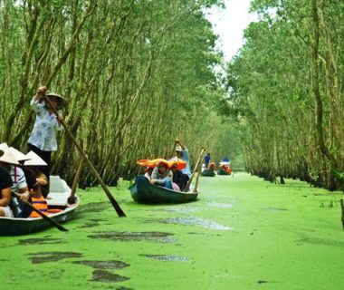 Tra Su Sanctuary bird 1 day tour with motorbike and sampan