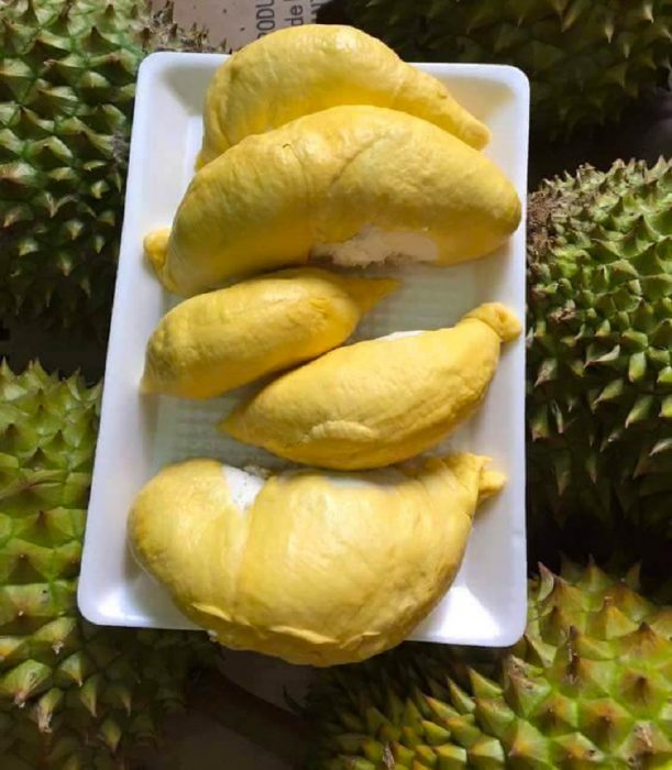 Durian Vinh Kim