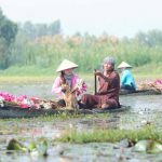 Mekong River Delta Tourism “Gets a Makeover” to Welcome Visitors