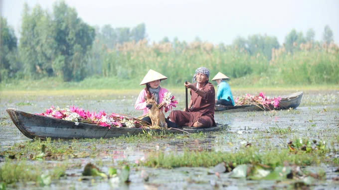 mekong Tet in Vietnam