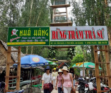 Tra Su Cajuput Forest