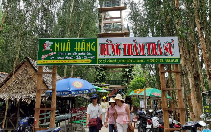 Tra Su Cajuput Forest