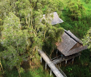 Tra Su Cajuput Forest