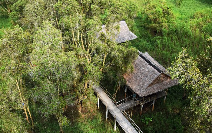 Tra Su Cajuput Forest
