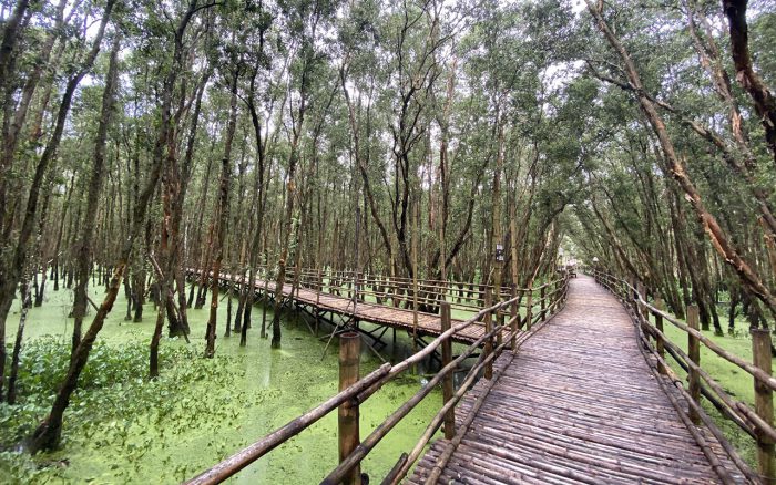 Tra Su Cajuput Forest