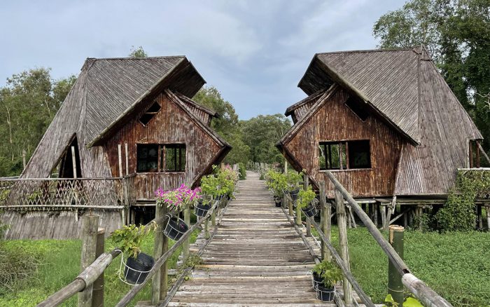 Tra Su Cajuput Forest