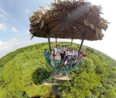 Can Gio Mangrove Forest one day tour by express boat