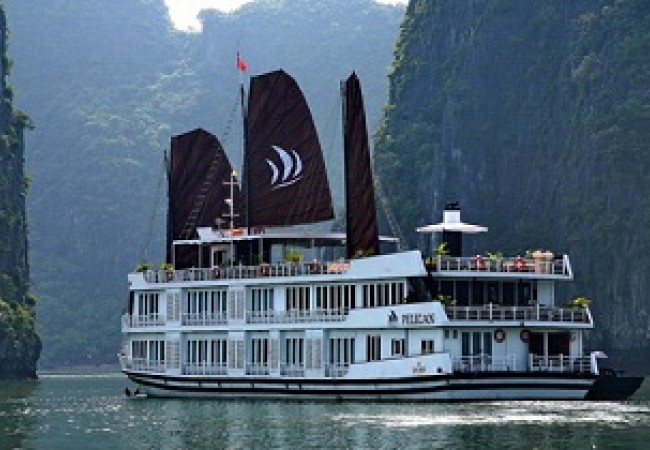 pelican-cruise