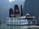 pelican-cruise