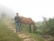 Langbiang-trekking-tour