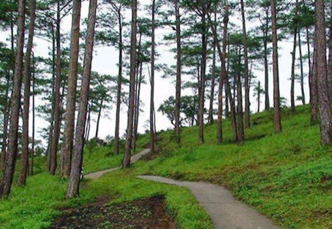 doi-thong-da-lat