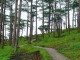 doi-thong-da-lat