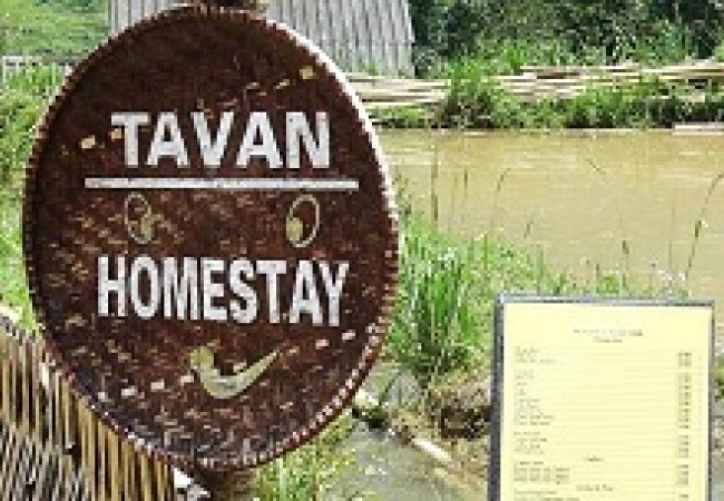 Ta-Van-homestaye