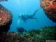 DivingToursinNhaTrangBay