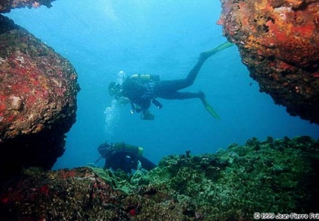 DivingToursinNhaTrangBay