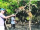 monkey_island1
