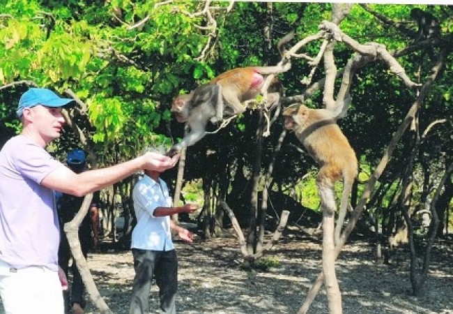 monkey_island1