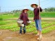 Tra_Que_village1