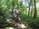 cuc-phuong-national-park1
