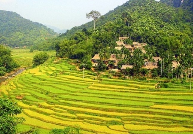 Mai-Chau-Trekking-tour