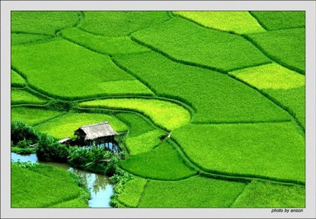 mai-chau(1)