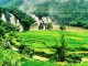 Ban-gioc.12