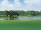 saigon-golf-tour