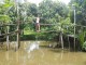 mekong-delta-tour-daily-travel