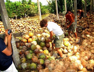 Mekong delta tour from Ho Chi Minh to Phnom Penh