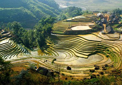 Sapa – Catcat – SinChai – Giang TaChai Tour