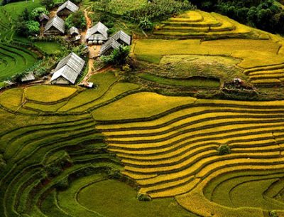 Sapa – Laochai – TaVan – Giang Ta Chai – Cocly Market Tour