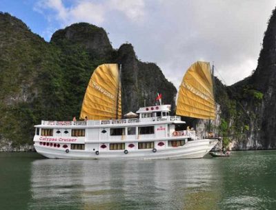 Calypso Cruiser 3 days tour