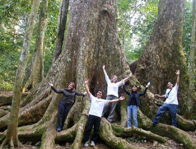 Daily tour – Cuc Phuong National Park