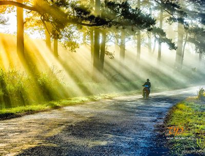 Trekking Tour in Langbiang mountain – Dalat
