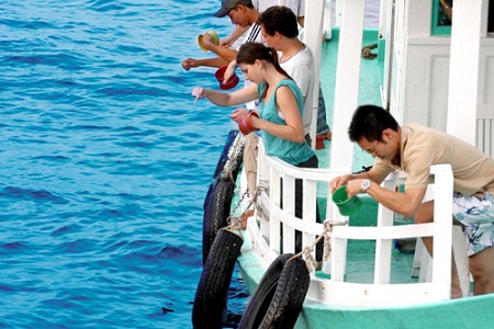 tour-cau-ca-phu-quoc
